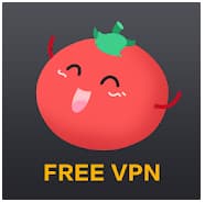 tomato vpn