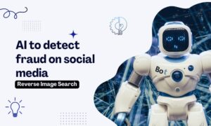 Reverse Image Search to detect fraud social media