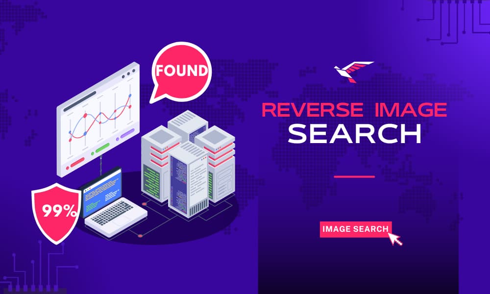 Working of Image Reverse Search to Detect Scammers