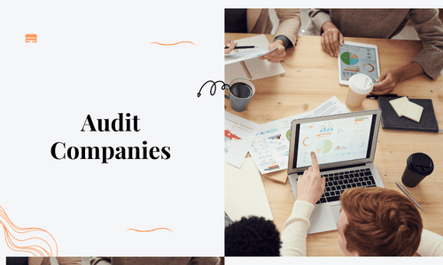 Audit companies