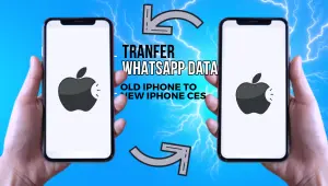 How to Transfer WhatsApp from Old iPhone to New iPhone 15