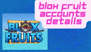 blox fruits max accounts